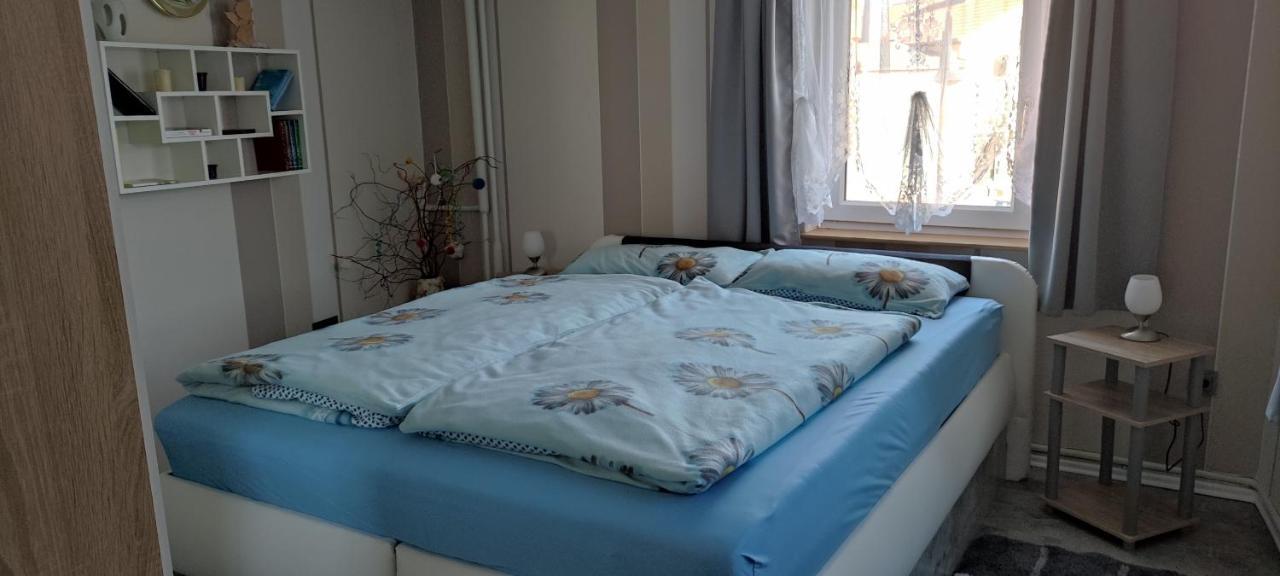 Ferienwohnung Wicke Thale Exteriér fotografie
